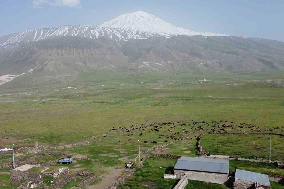 Ağrı Çay Kazanları İmalatı Satışı Servisi Yedek Parça